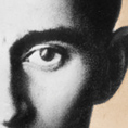 Kafka's Monkey and Metamorphosis