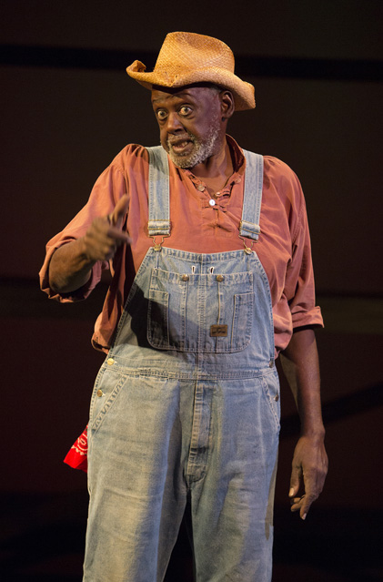 Darwin as Jingo